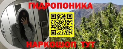 шишки Абакан