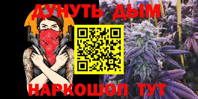 шишки Абакан