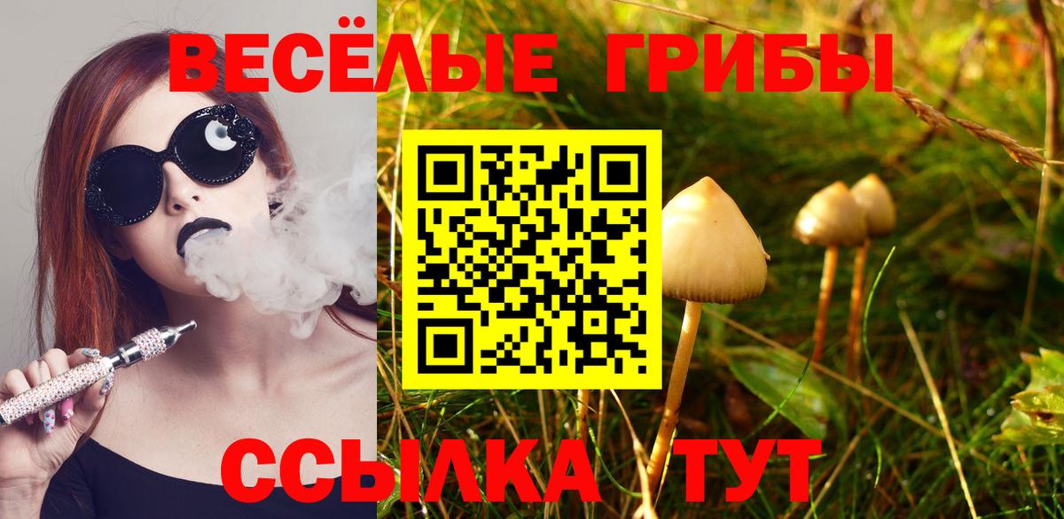 Абакан  Галлюциногенные грибы мухоморы  наркота  Псилоцибиновые грибы Psilocybine cubensis  Вход с VPN 