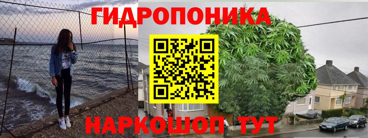 Каннабис семена  Бошки Шишки AK-47  Вход с VPN  Абакан 